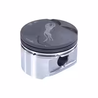 خرید پیستون هورنت مناسب برای موتورهای TU5 و EF7 ارتقا یافته | اتوموبی