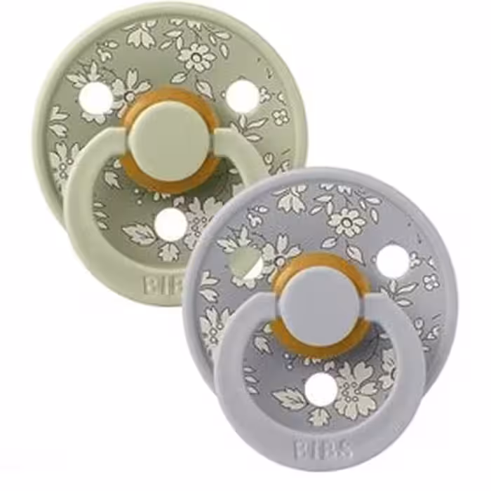 پستانک ارتودنسی X Liberty بیبس مدل Eloise-Sage سایز 0-6 ماه رنگ سبز و خاکستری