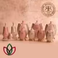 EMBICO ام بی کو پاسماوری نارسیس 1277 2277
