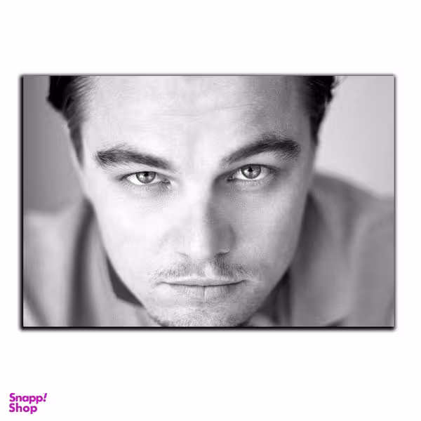 تابلو شاسی بکلیت طرح بازیگر هالیوود لئوناردو دیکاپریو مدل SH-6320