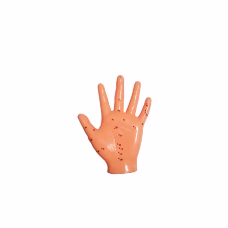 مولاژ دست طب سوزنی 
