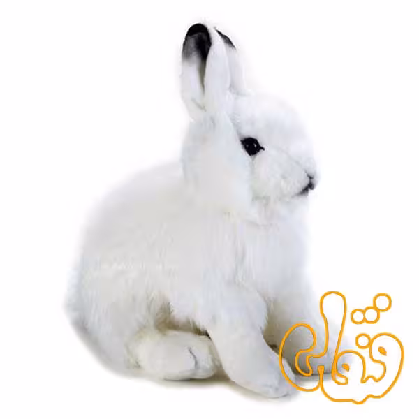 خرگوش قطب شمال 770725