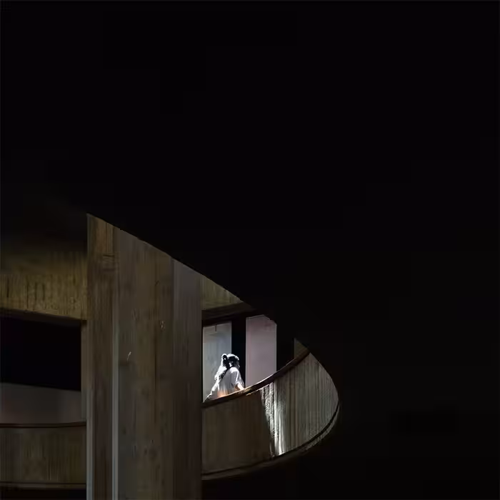 سوژه (مجموعه موزه هنرهای معاصر تهران)