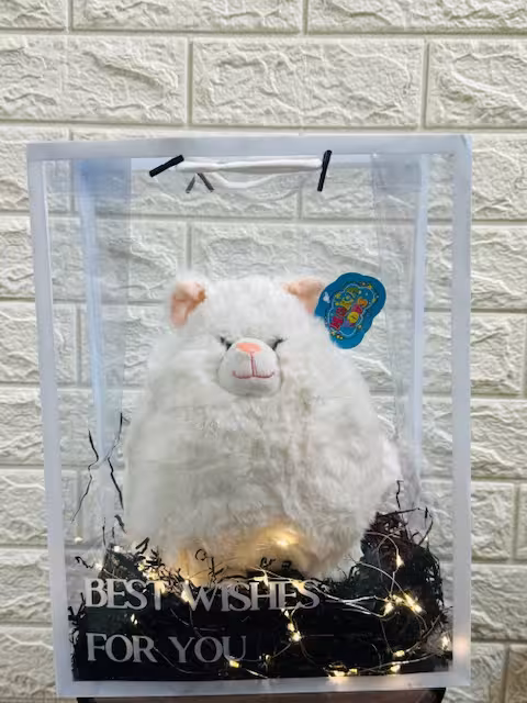 بگ عروسکی گربه کیوت