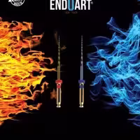 فایل روتاری اندوآرت مدل اکشن بلو EndoArt Action Blue - فروشگاه تخصصی دندانپزشکی سپیرا