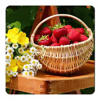 مگنت طرح سبد توت فرنگی و گل کد NIM1313