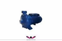پمپ بشقابی پنتاکس 1 اسب مدل CM100/00