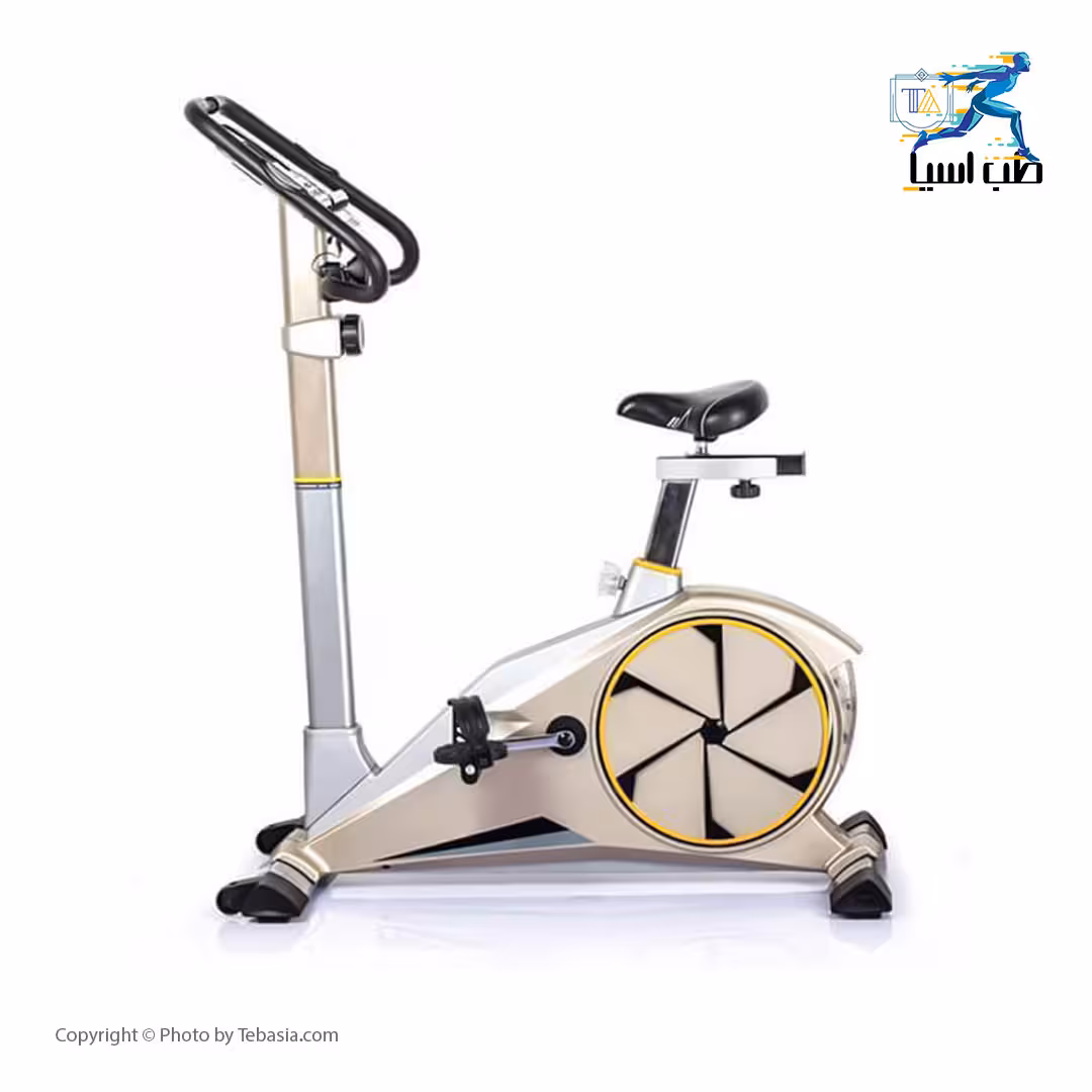 دوچرخه ثابت تایگر اسپرت مدل Tiger Sport G100