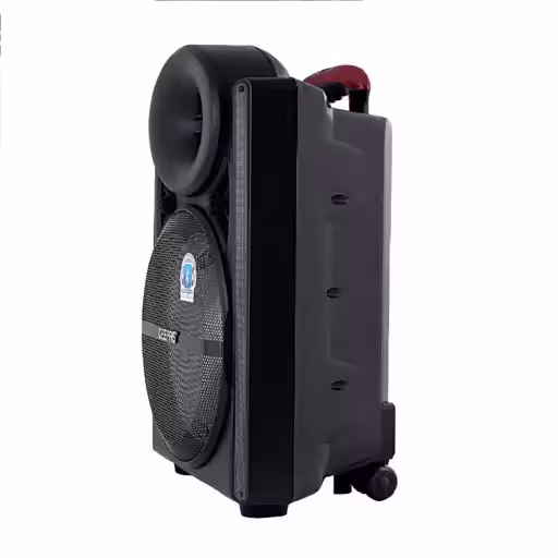 اسپیکر بلوتوثی قابل حمل جی پاس مدل gms8567