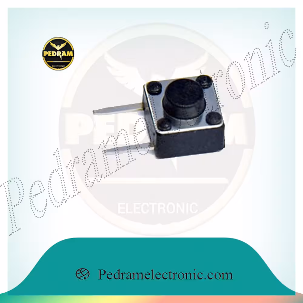میکروسوویچ MIK GERD 2PIN 1M
