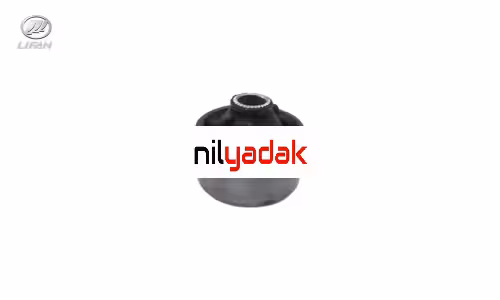 بوش طبق بزرگ لیفان 820 درجه یک