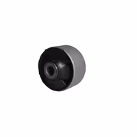 بوش طبق آریزو 5