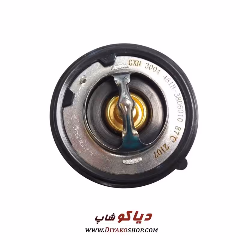 ترموستات ام وی ام 315