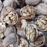 گردوی ایرانی درجه یک(بسته 1 کیلوگرمی)