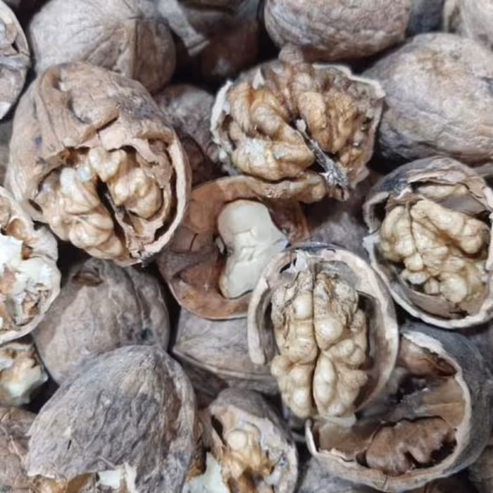 گردوی ایرانی درجه یک(بسته 1 کیلوگرمی)