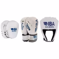 دستکش بوکس گرین هیل مدل aiba pro 2000 به همراه کلاه و میت رزمی بسته 4 عددی