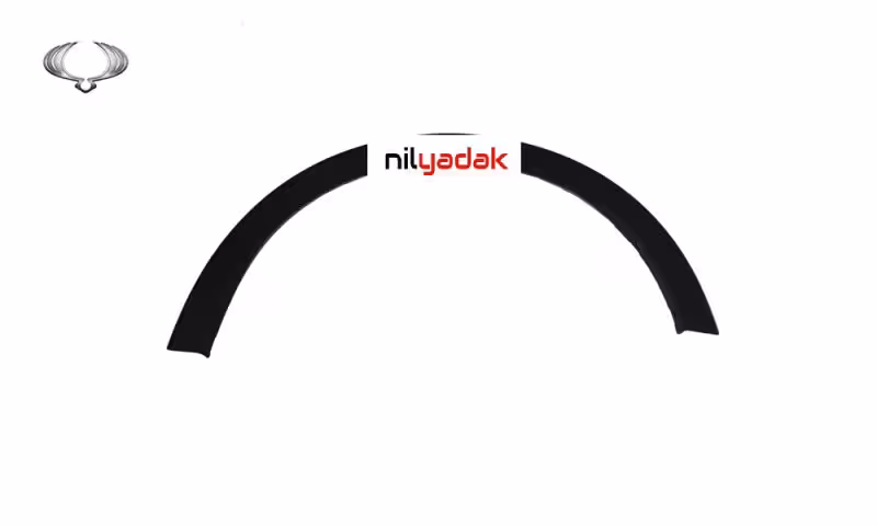 گارنیش دور گلگیر جلو راست سانگ یانگ تیوولی