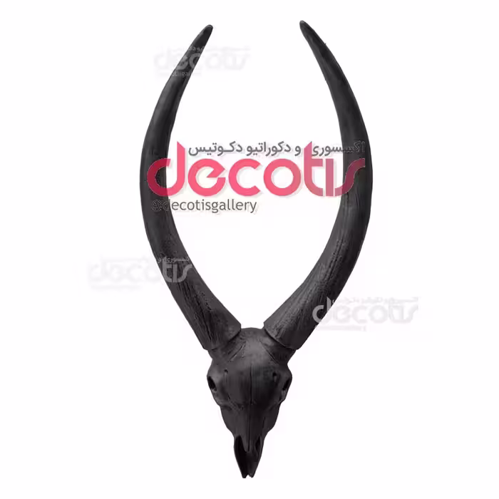دیوارکوب مدل جمجمه بز کوهی کد 3