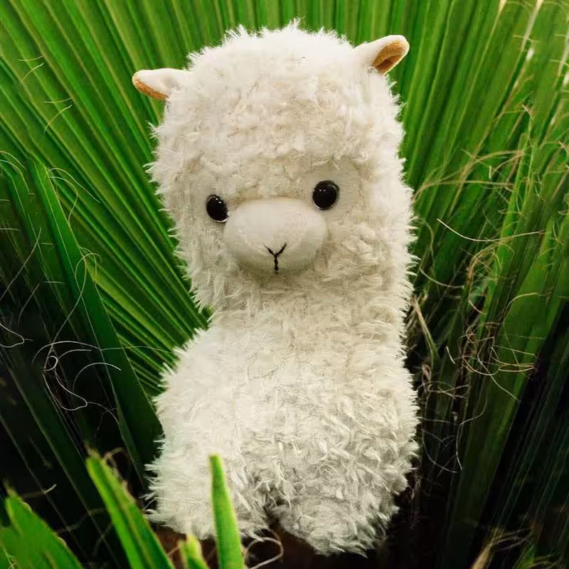 عروسک آلپاکا (لاما) پشمالو سفید در ارومیه و آذربایجان غربی