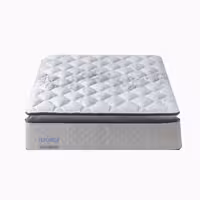 تشک یکنفره پرومدی مدل ضد حشره Ganoderma سایز 120×200 ساتی متر