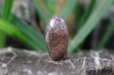 فسیل استخوان دایناسور