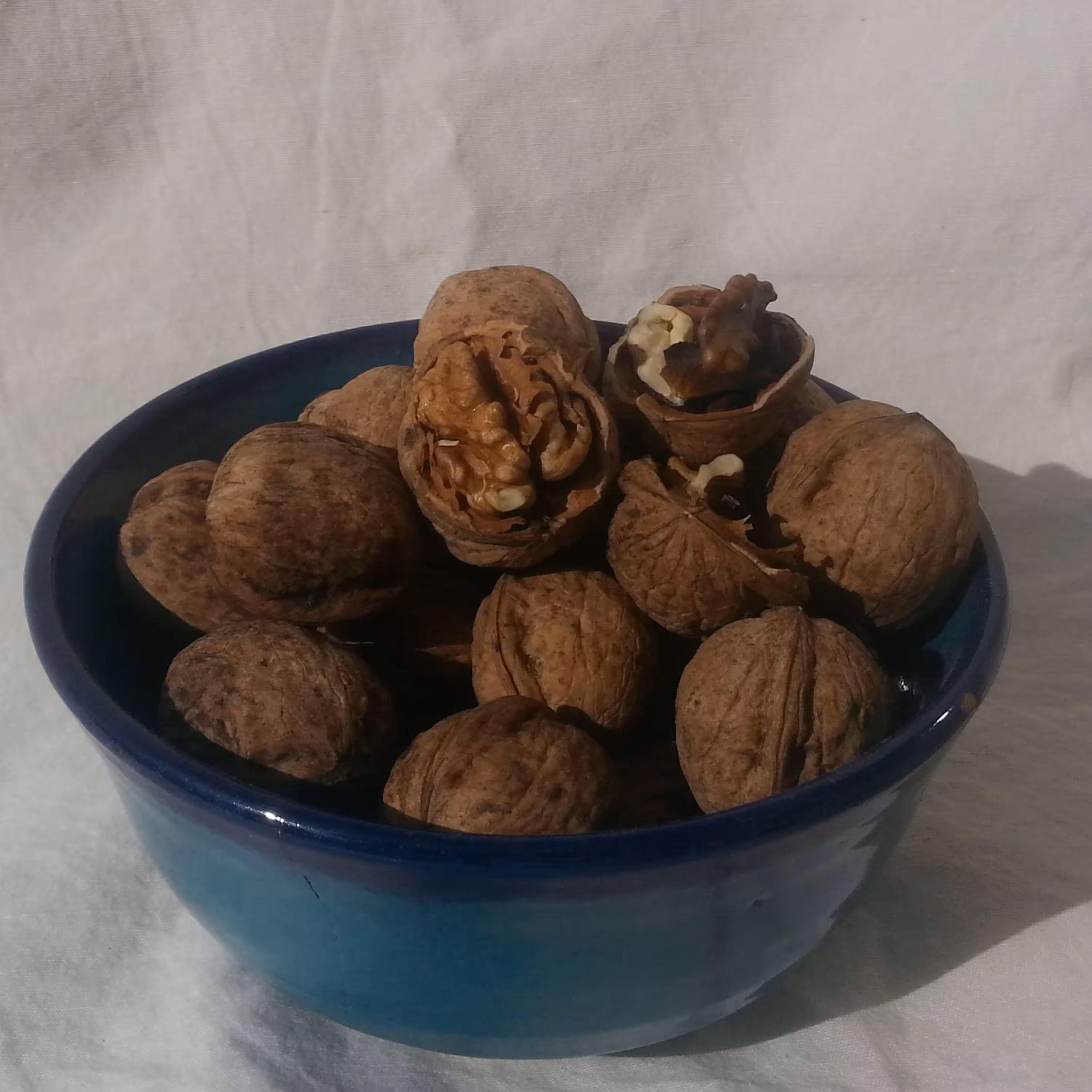 گردو امسالی