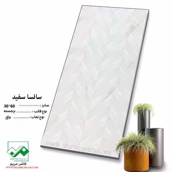 سرامیک سالسا سفید 60*30 کاشی مریم