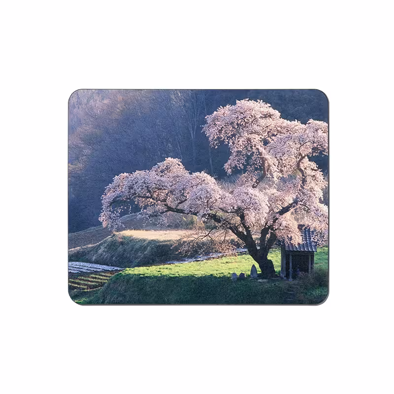 پد موس - پد ماوس  طرح شکوفه کد 3619