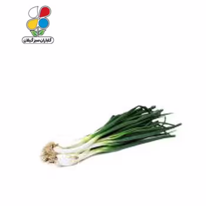بذر پیازچه سفید بسته بندی بزرگ