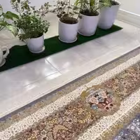 محافظ ریشه فرش