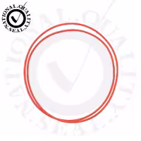 اورینگ توربین سهند S21 VMQ