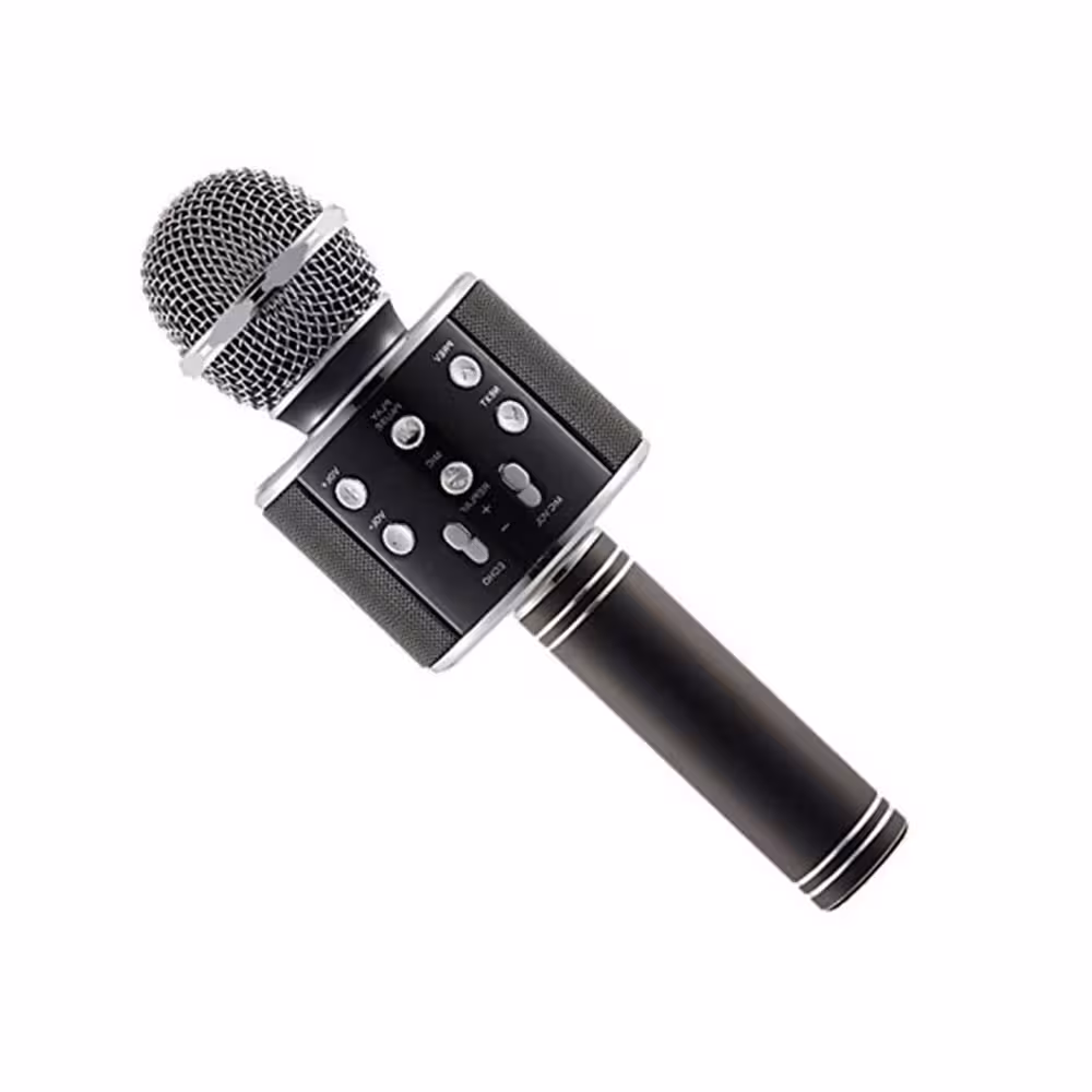 میکروفون شارژی