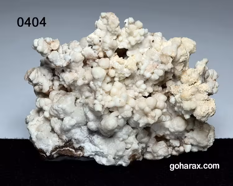 سنگ زینتی آراگونیت مرجانی