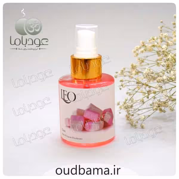 اسپری لئو آدامس گام LEO GUM