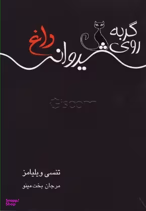 گربه روی شیروانی داغ (نمایشنامه)