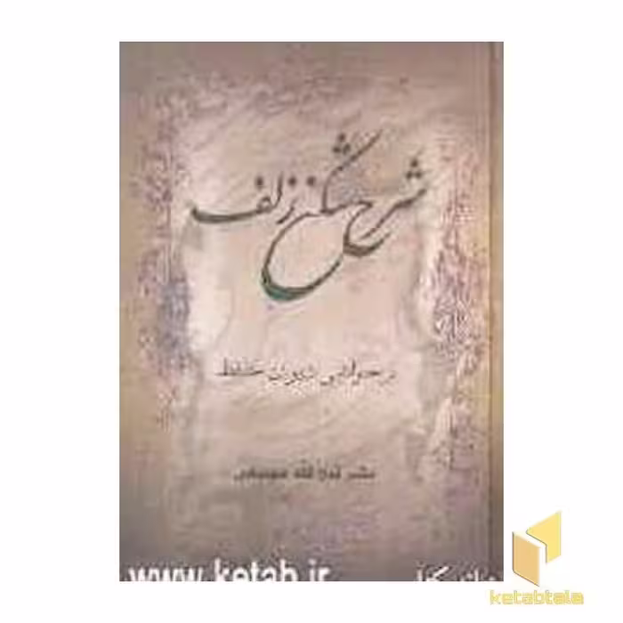 کتاب شرح شکن زلف دیوان حافظ اثر فتح الله مجتبایی نشر سخن