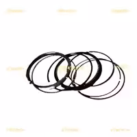 رينگ موتور چري اريزو 5 دنده و اتومات استاندارد