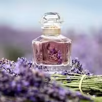 عطر ادکلن گرلن مون اصل | Guerlain Mon 100ml