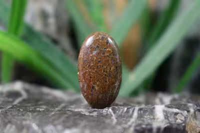 فسیل استخوان دایناسور