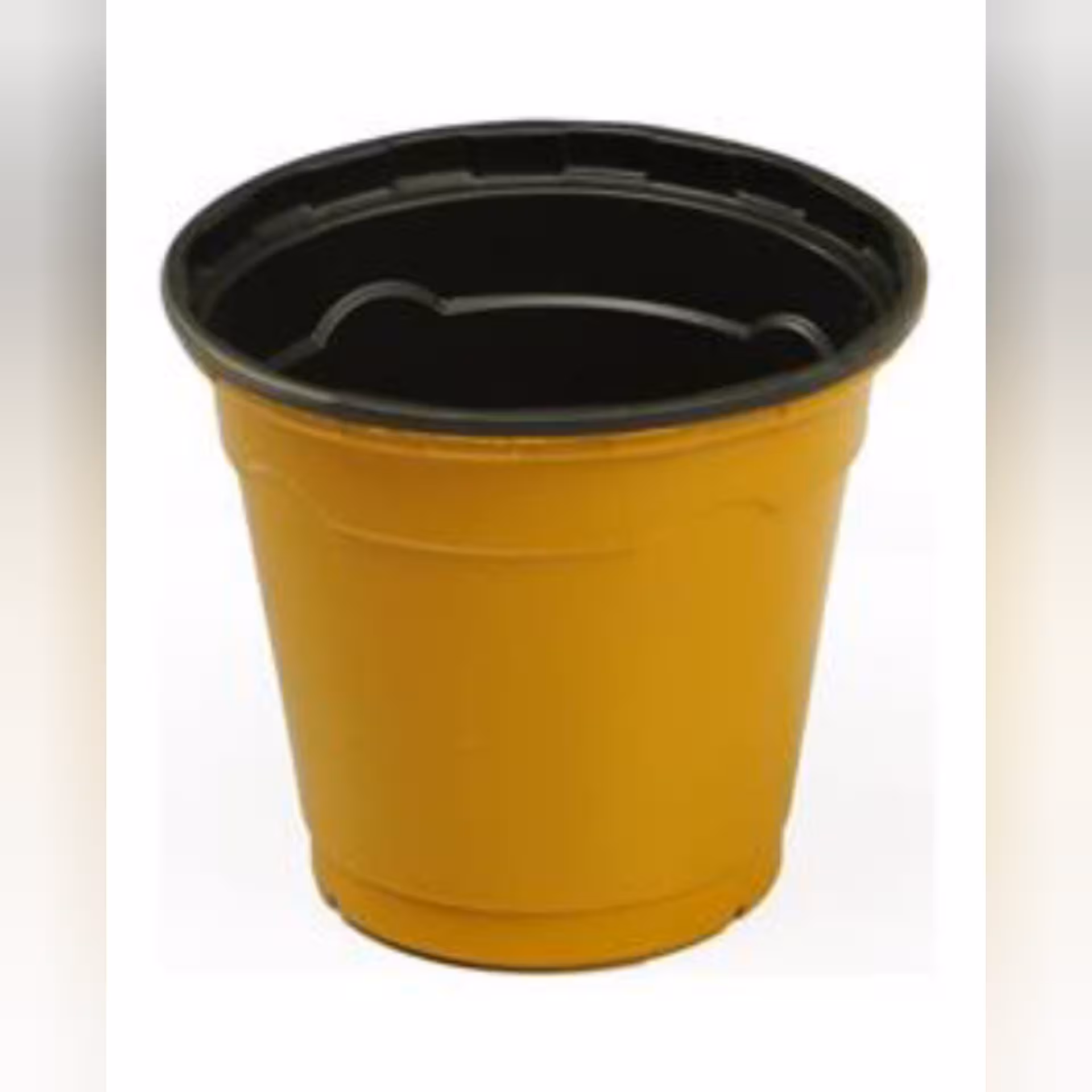 گلدان ژله ای سایژ 6 رنگ زرد