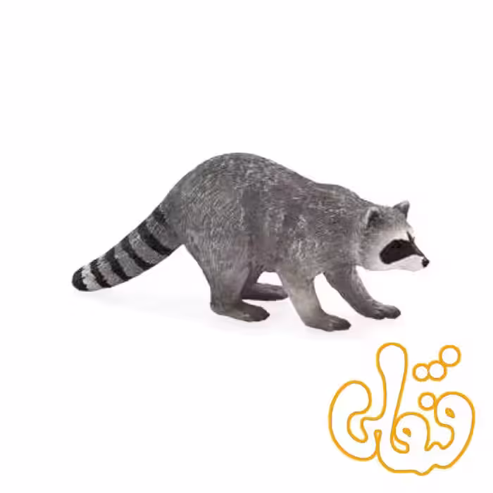 راکون Raccoon 387159