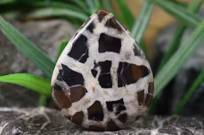 سپتارین مراکش اصل و طبیعی