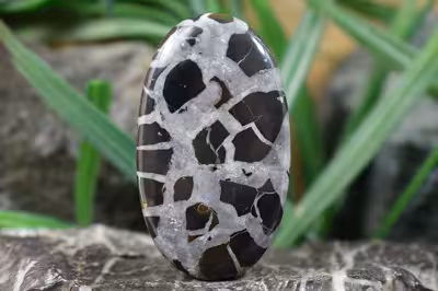 سپتارین مراکش اصل و طبیعی