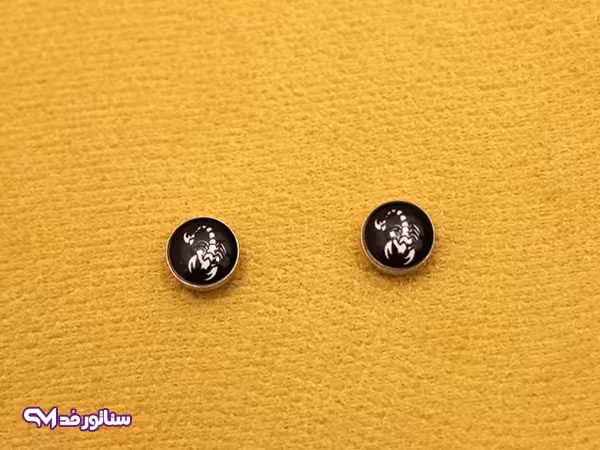 گوشواره پسرانه آهنربایی مدل عقرب G5111