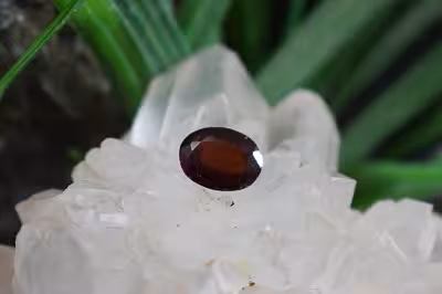 گارنت هسونیت