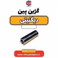 گژین پین دیگنیتی