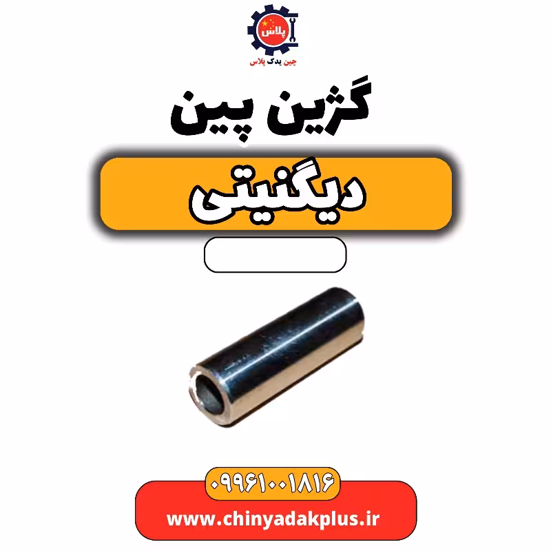 گژین پین دیگنیتی