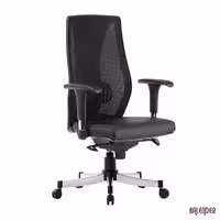 صندلی کارشناسی سیلا مدل B28i