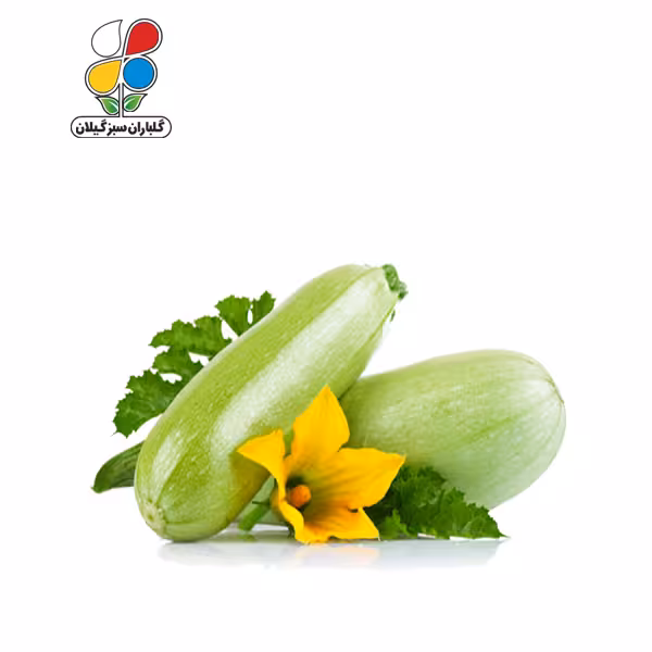 بذر کدو بسته سه عددی