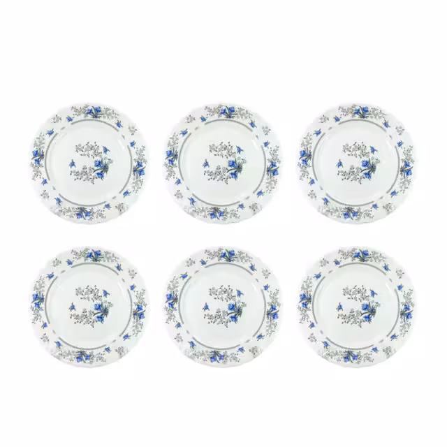 پیش دستی پارس اپال کد 195 مدل گل رمانتیک 120 بسته 6 عددی